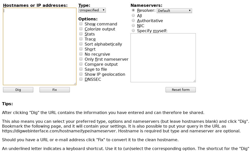 Screenshot of Dig Web Interface